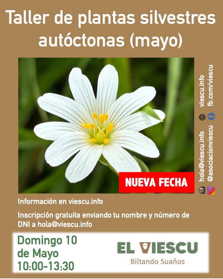 Taller de plantas silvestres autóctonas (cambio de fecha)