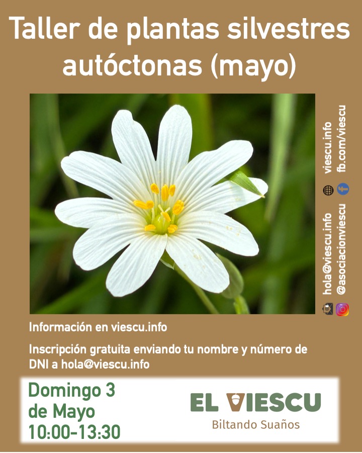 Taller de plantas silvestres autóctonas