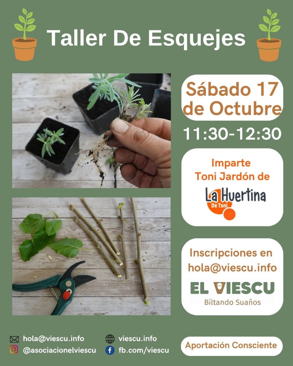Taller de esquejes