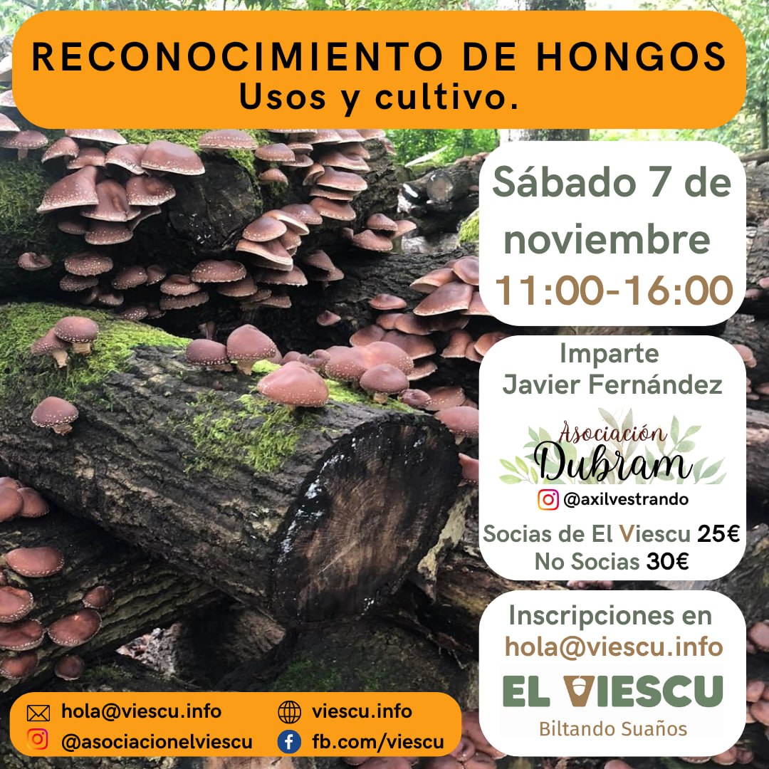 Reconocimiento de hongos: usos y cultivo
